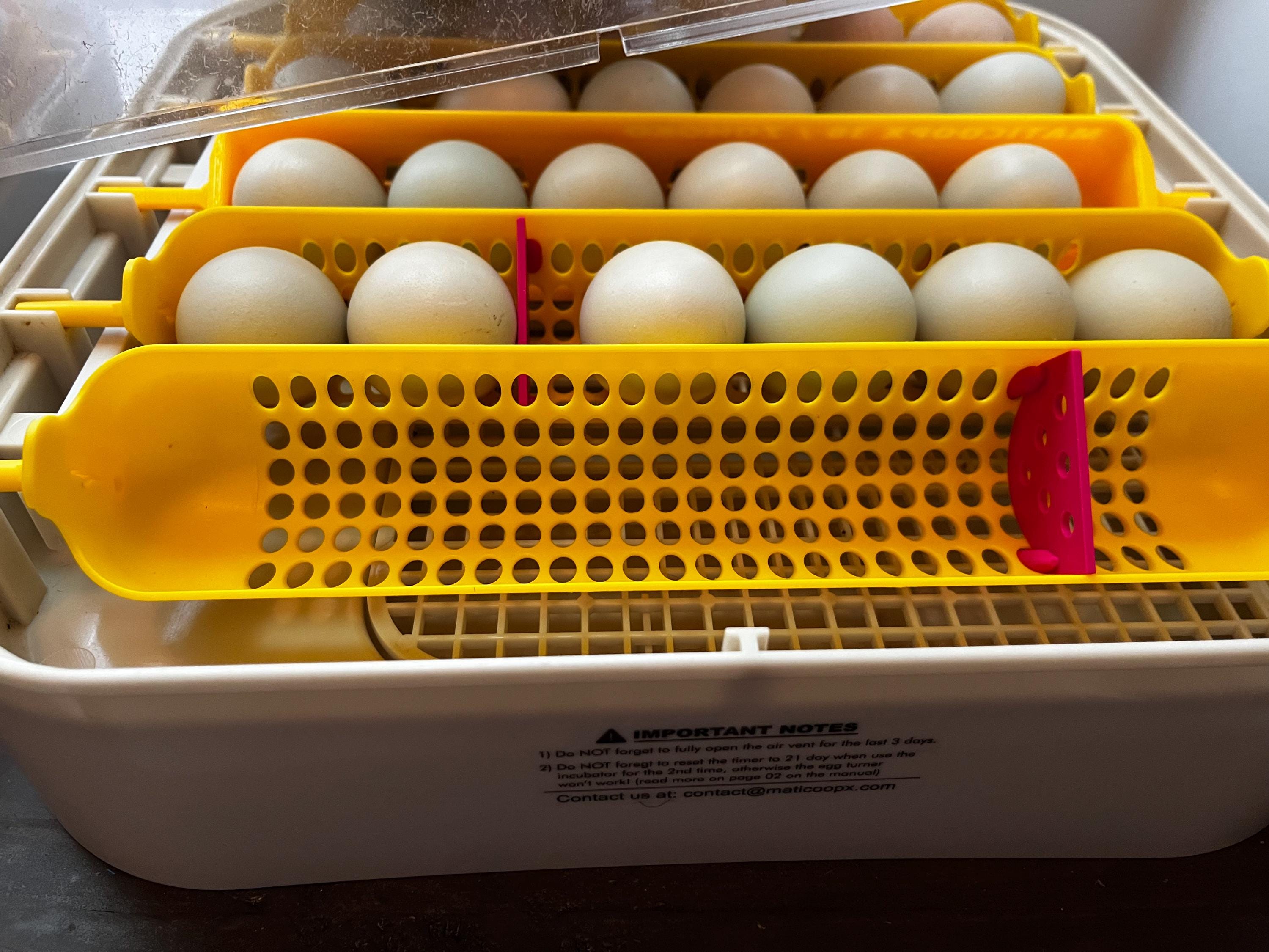 Maticoopx Egg Separators | 3D Printed