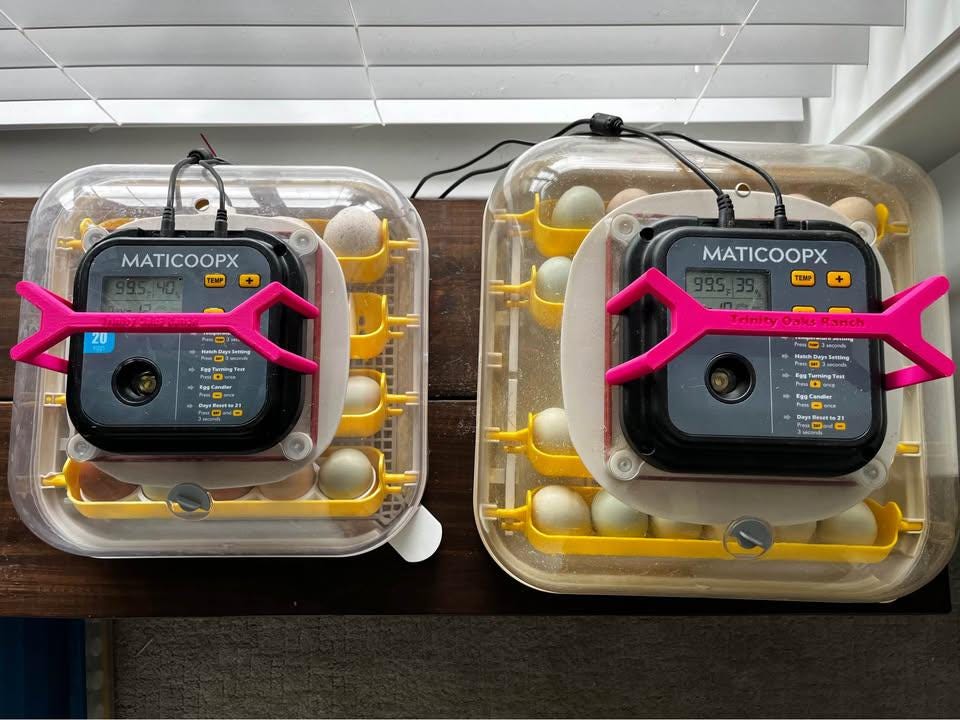 Maticoopx 20 Incubator Handle | 3D Printed